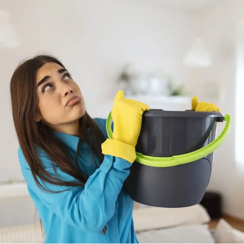 water damage restoration service Franklin Park